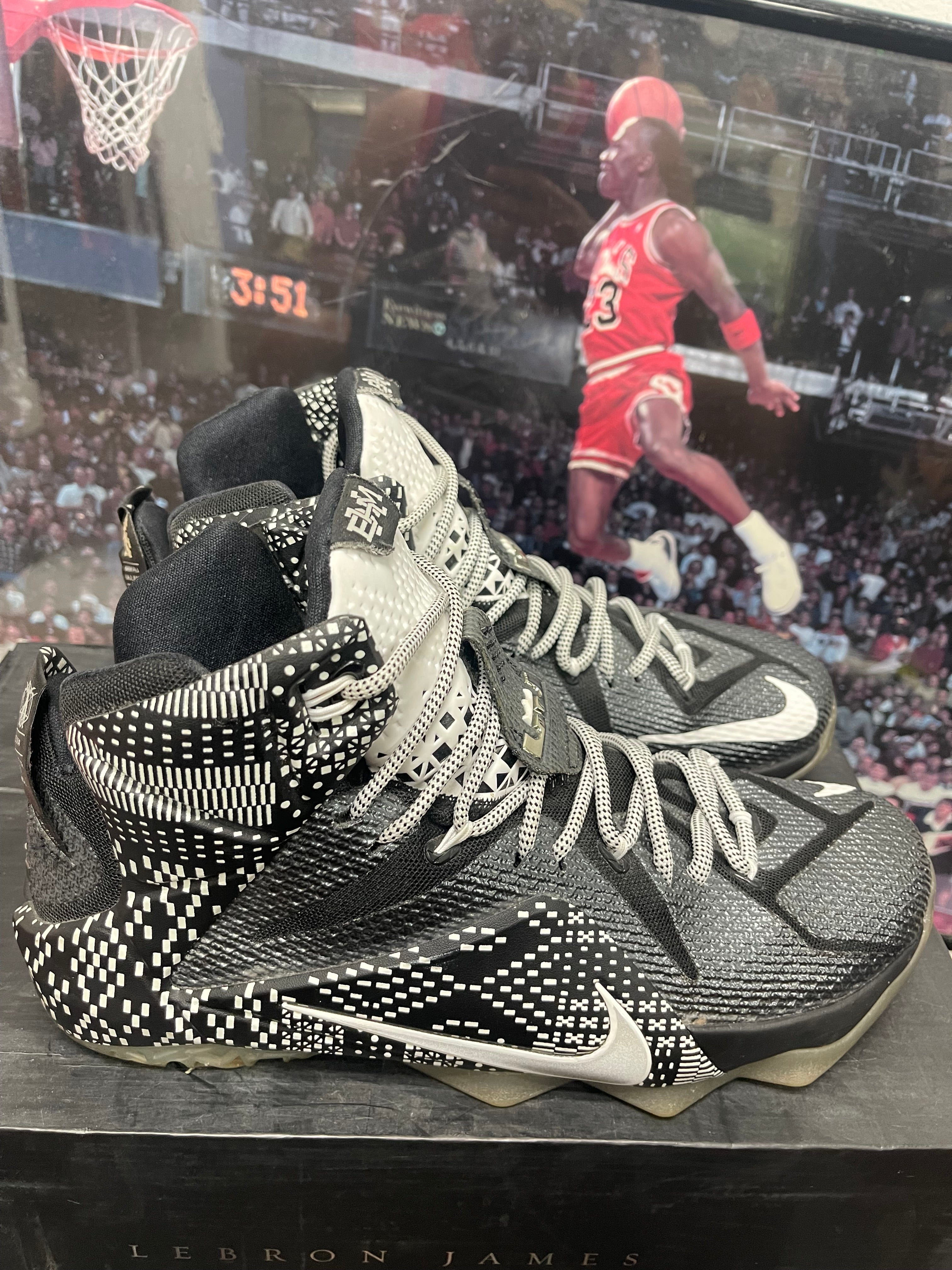 LeBron Black History Month size 9.5